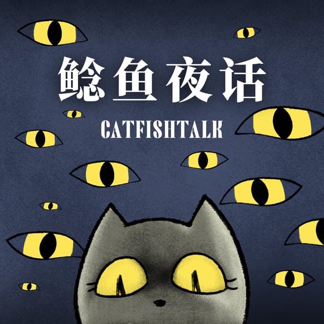 鲶鱼夜话 封面