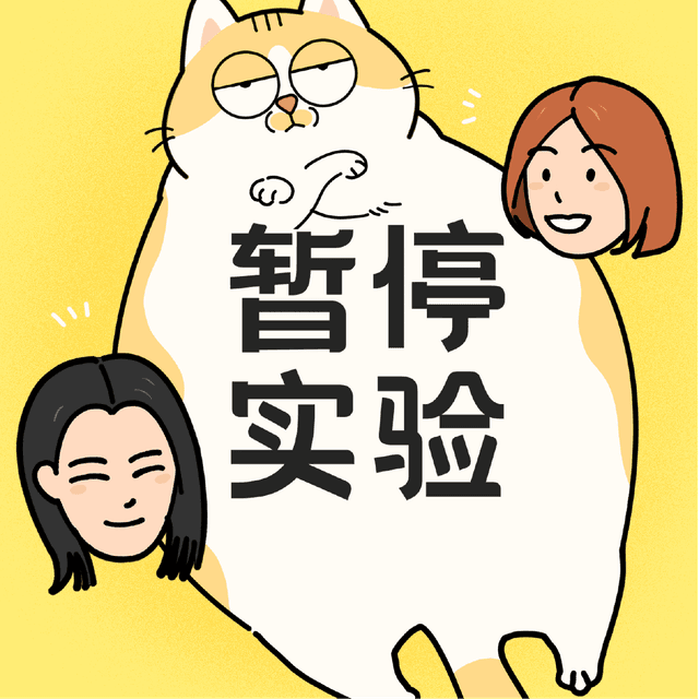 暂停实验 cover