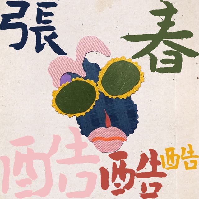张春酷酷酷 封面