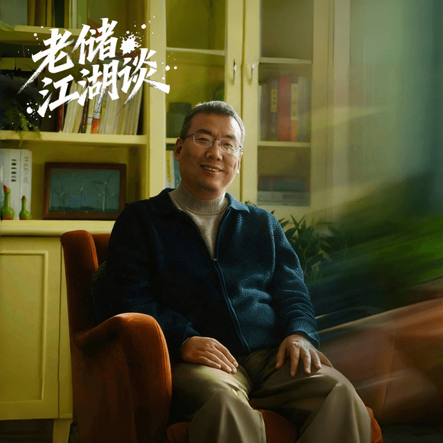 老储江湖谈 cover