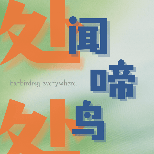 处处闻啼鸟 封面