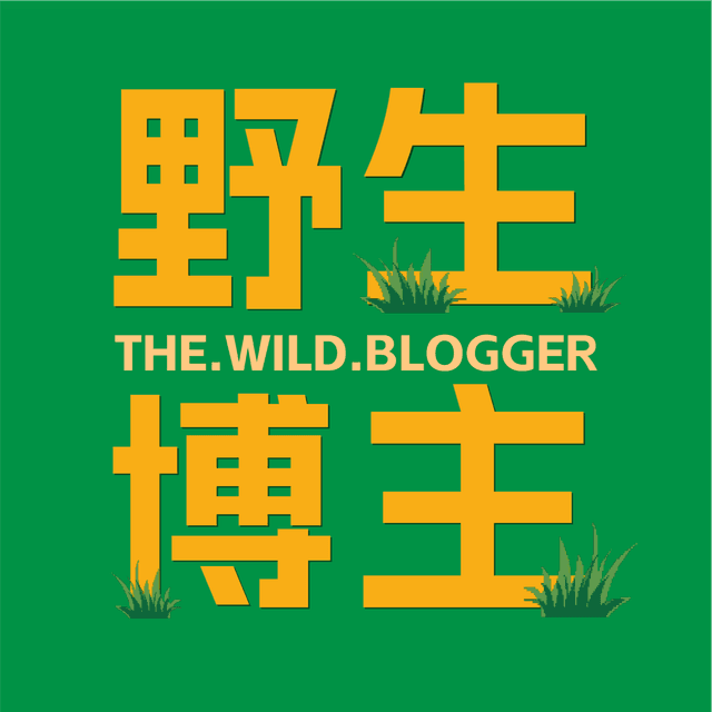 野生博主 封面