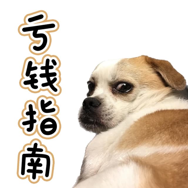 亏钱指南 cover