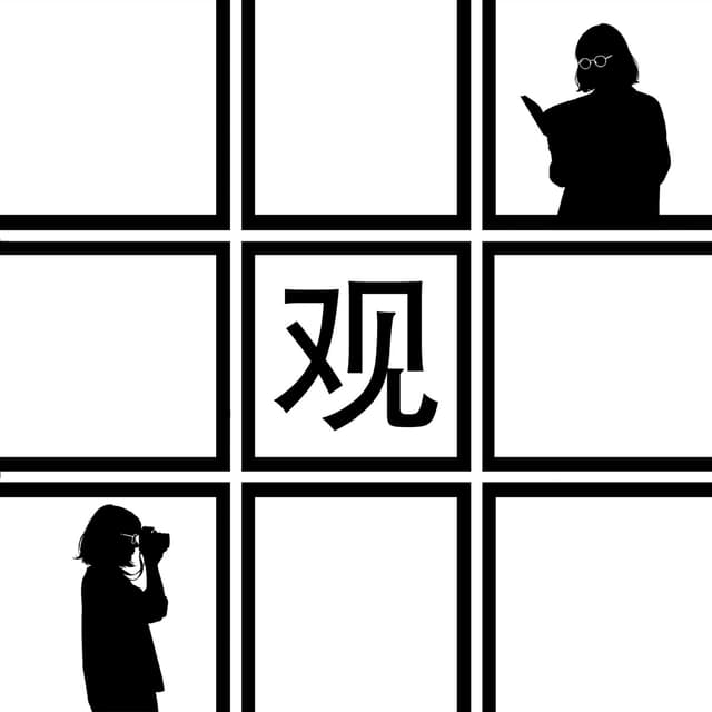 井观 cover