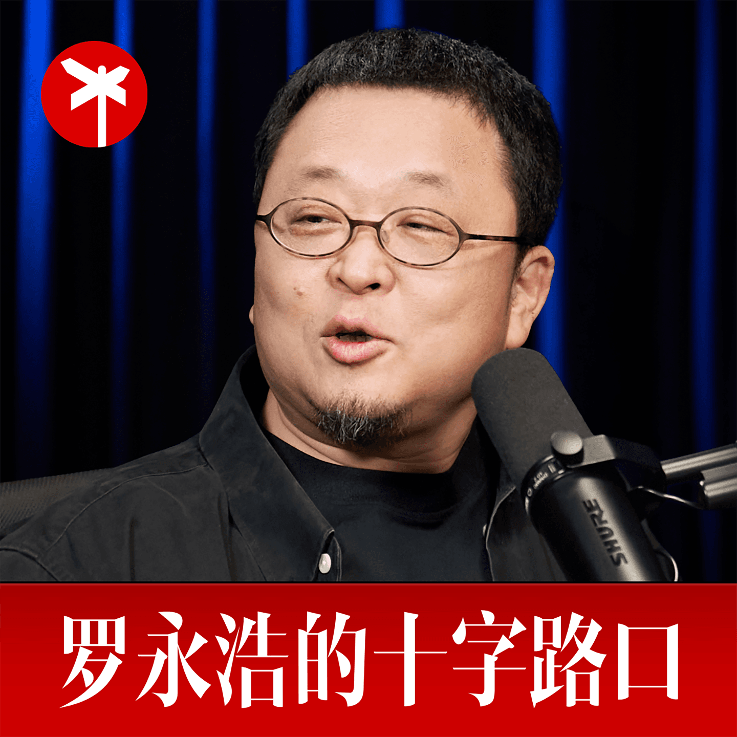 罗永浩的十字路口 cover image