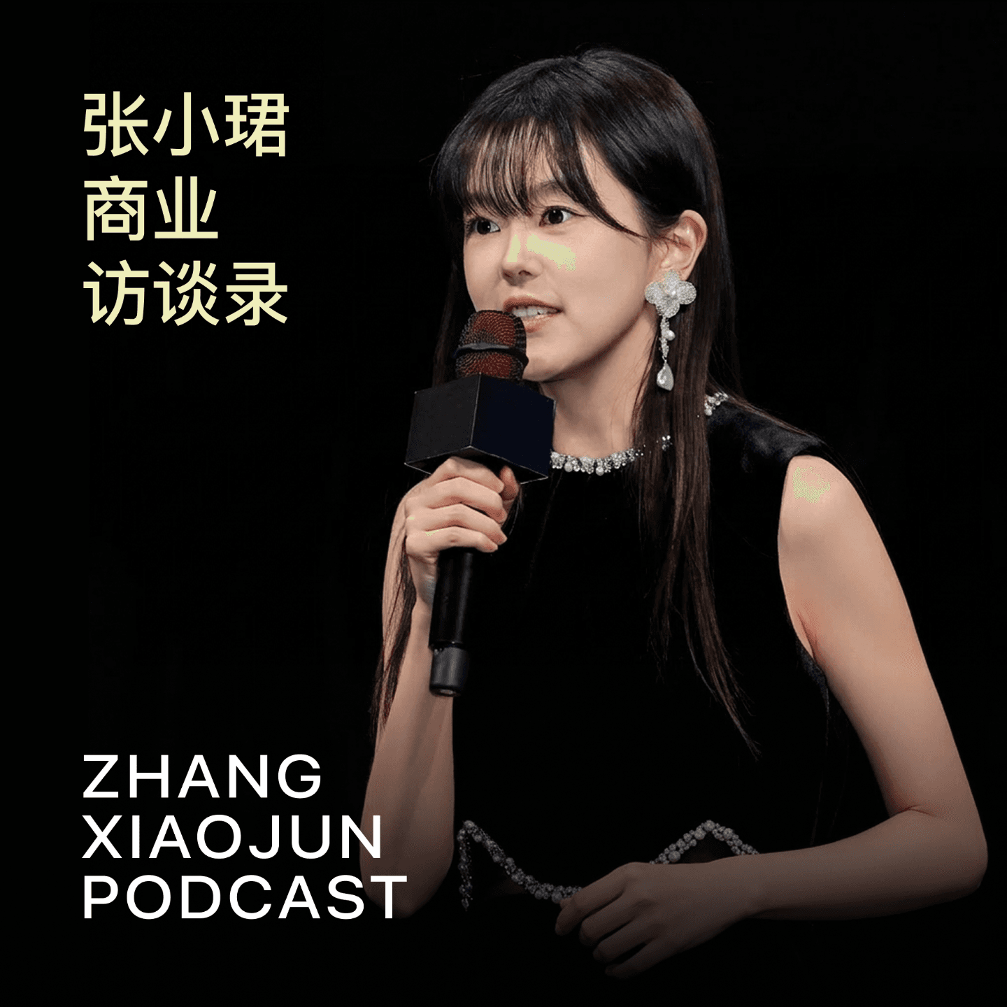 张小珺Jùn|商业访谈录 cover image