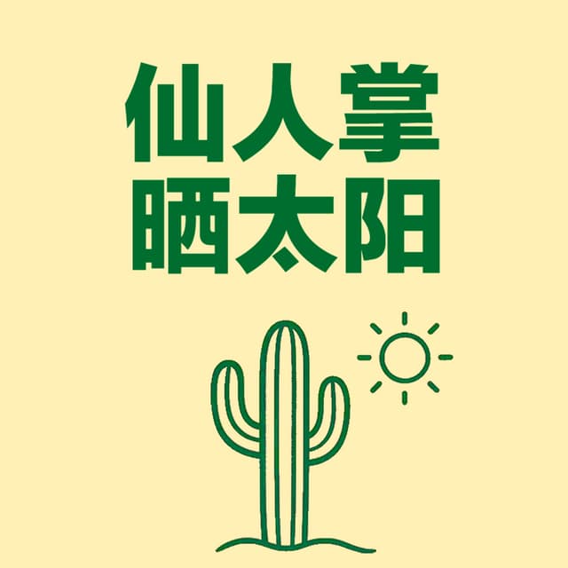 仙人掌晒太阳 封面