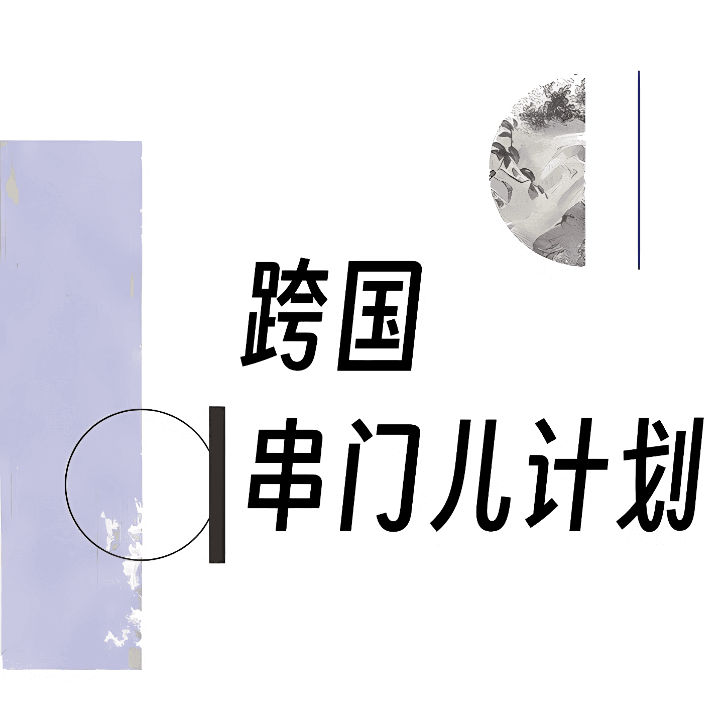 跨国串门儿计划 cover image