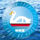 鸭鸭摇 cover