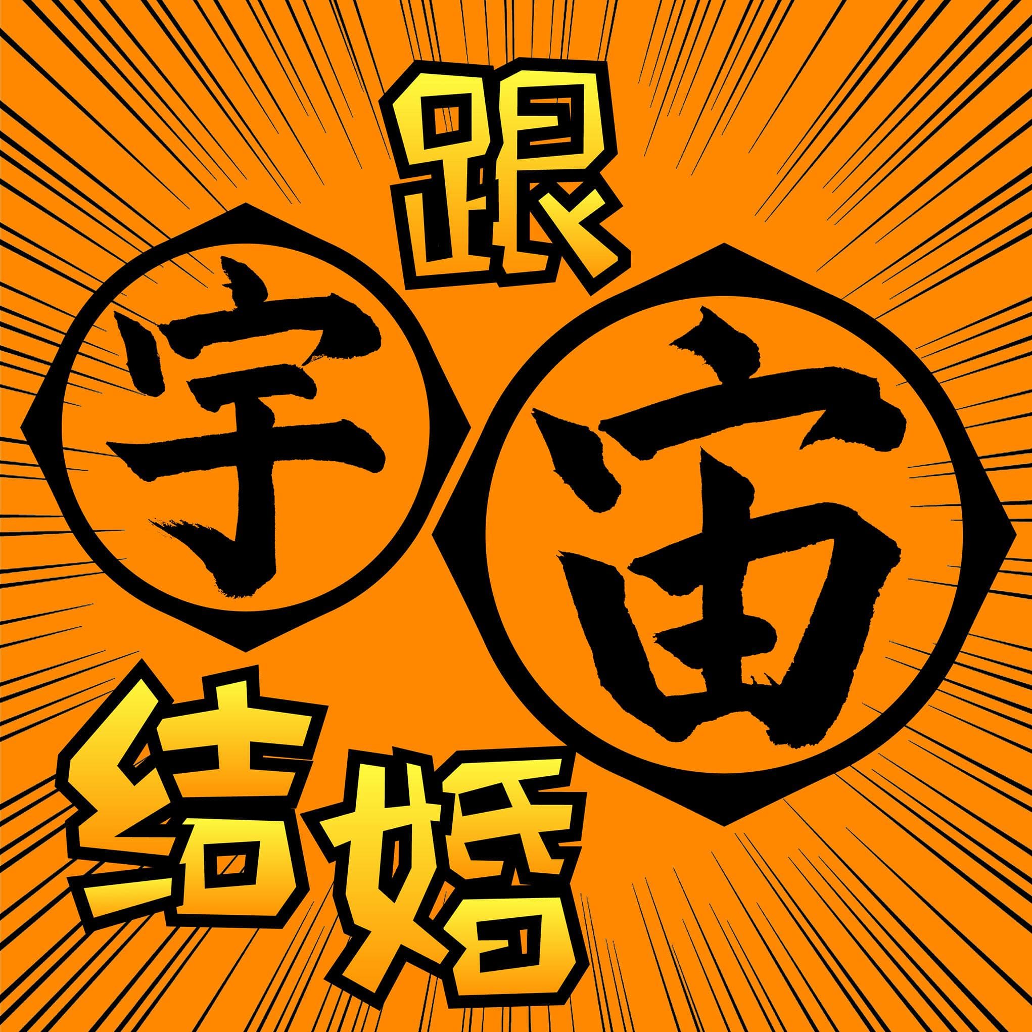 跟宇宙结婚 cover image