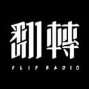 翻转台电(翻电) cover