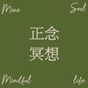 莫守MineSoul正念冥想 cover
