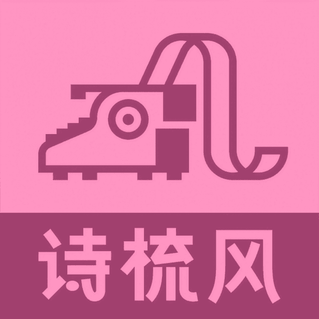 诗梳风 cover