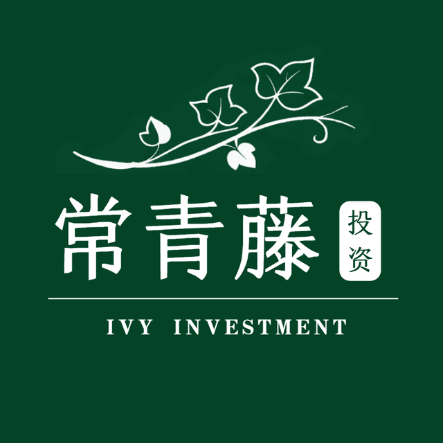 常青藤投资 封面