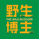 野生博主 cover