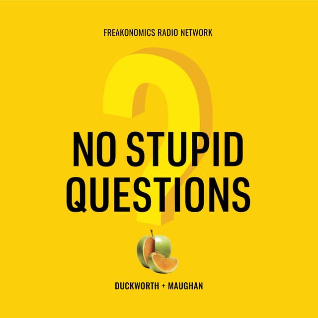 No Stupid Questions cover