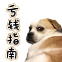 亏钱指南 cover