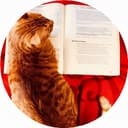 英语考试Cat | 雅思口语写作加油站 cover