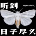 听到日子尽头🎵 cover