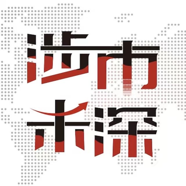 涉市未深 cover