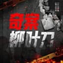 奇案柳叶刀 | 悬疑惊悚大案解析 cover