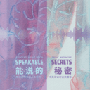 能说的秘密 cover