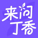 来问丁香 cover