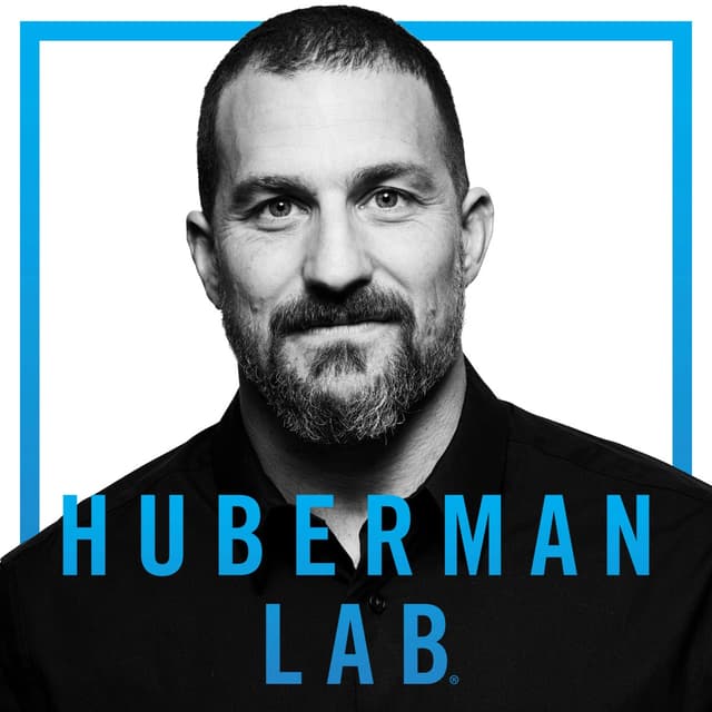 Huberman Lab 封面