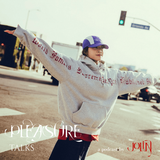 Pleasure Talks 封面