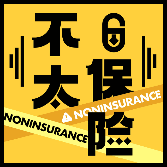 不太保险 cover