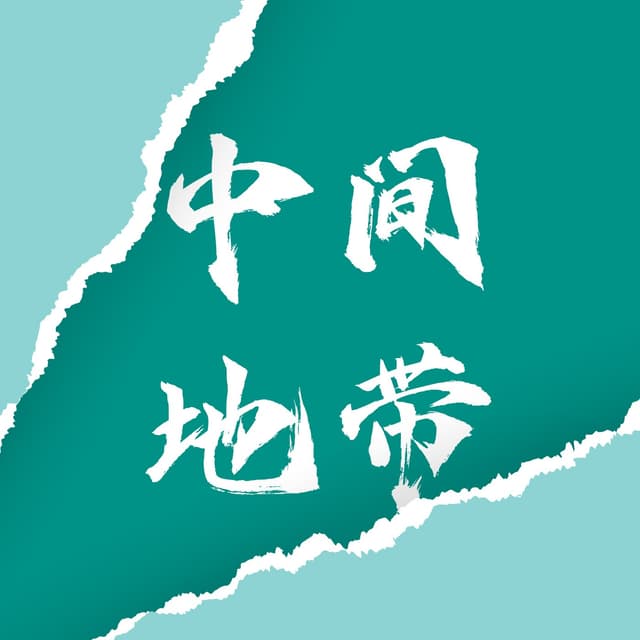 中间地带 封面