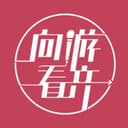 向游看齐 cover
