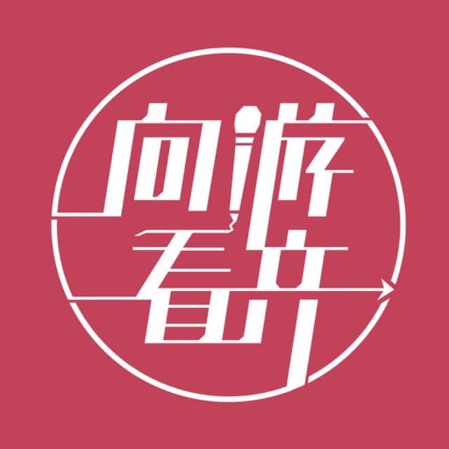向游看齐 cover