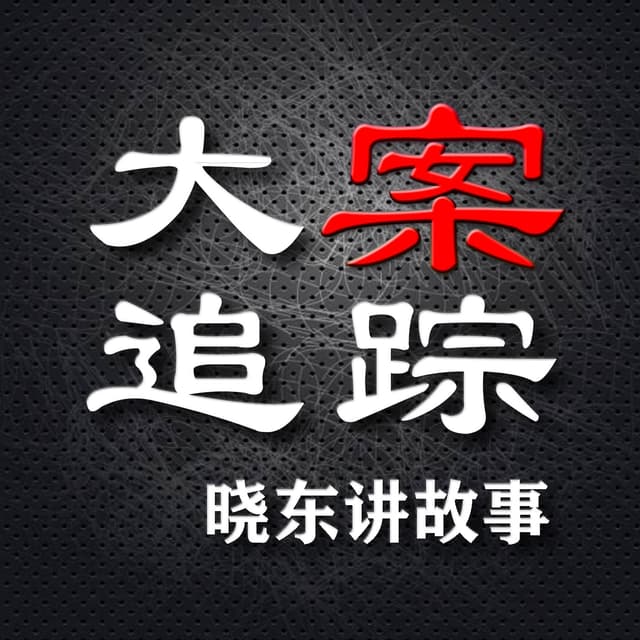 晓东讲故事-大案追踪 cover