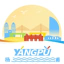 生活在杨浦 cover
