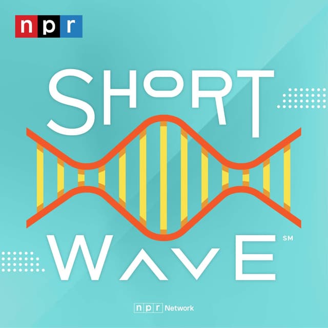 Short Wave cover