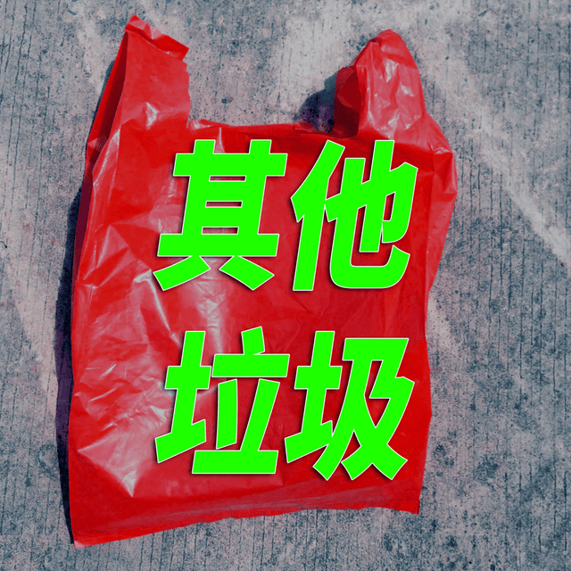其他垃圾 cover