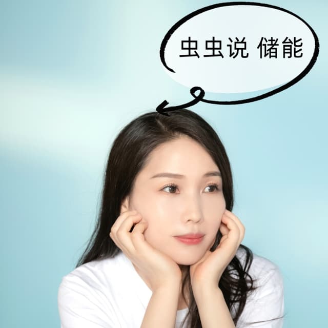 虫虫说储能 cover